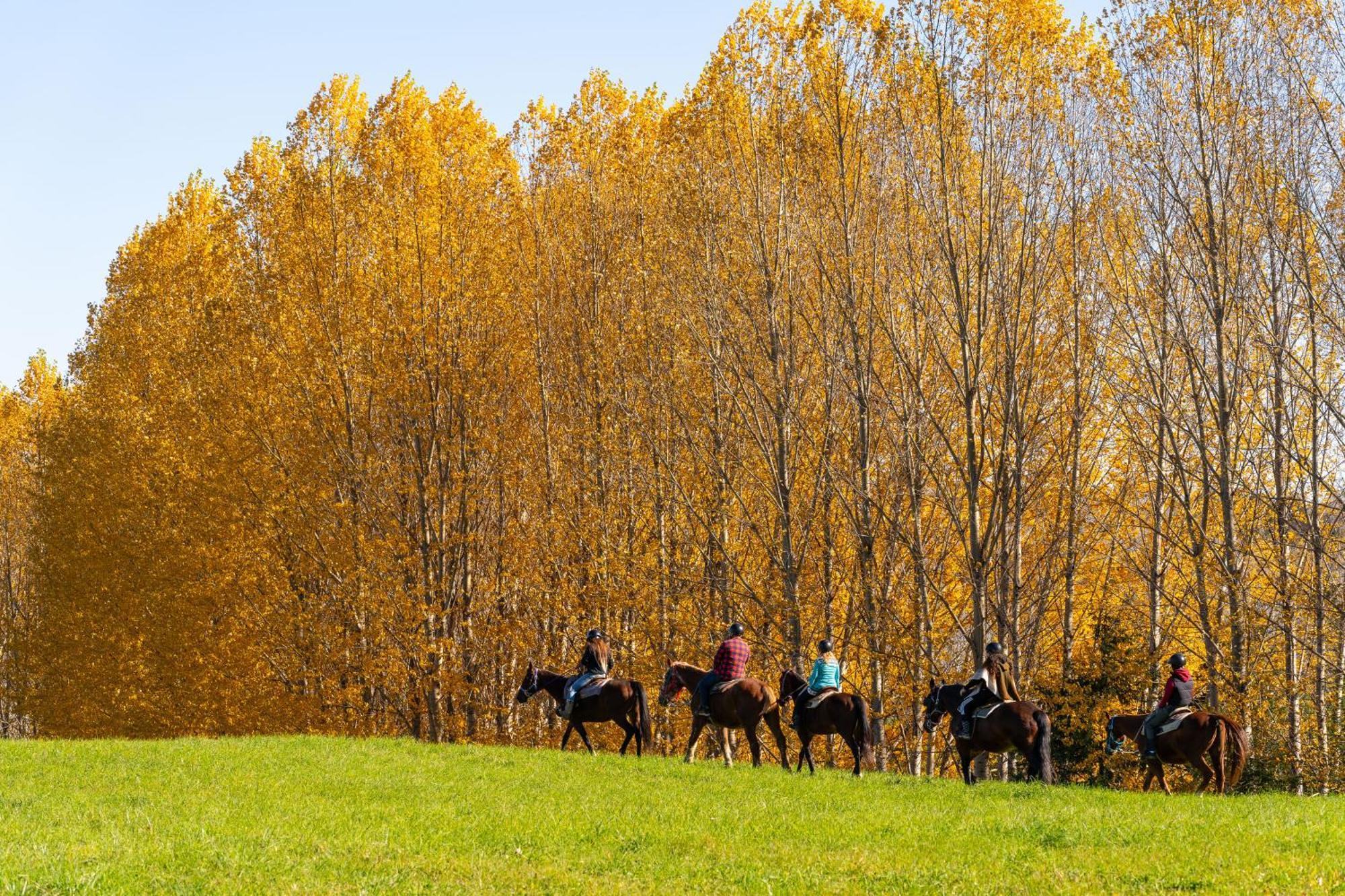 Le Baluchon Eco-Villegiature Saint-Paulin Екстериор снимка